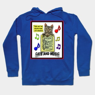 CAT AND MUSIC THERAPY FOR CRAPPY TIMES Hoodie